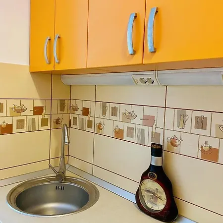 Calea Victoriei Studio Apartment Bucharest