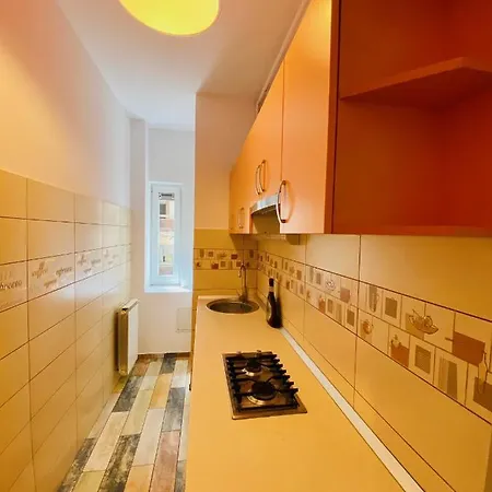 Calea Victoriei Studio Apartment