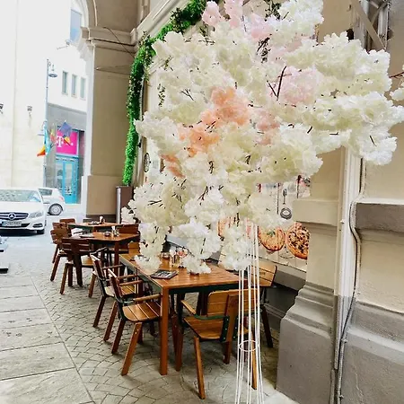 Calea Victoriei Studio Apartment Bucharest